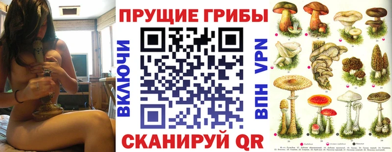 кракен сайт  где купить наркоту  Могоча  Псилоцибиновые грибы Psilocybe 